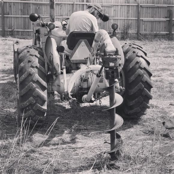 Meet your Posher, Brian - Picture 1 of 1